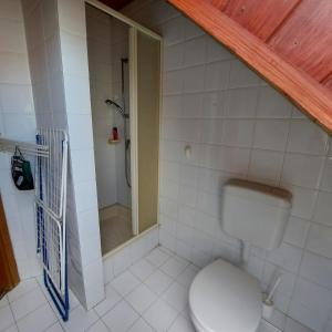 een badkamer met een toilet en een douche bij Saci Lak in Gyenesdiás