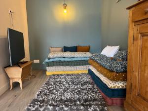 twee bedden in een kamer met een televisie en een tapijt bij Ferme de la Croix Blanche, Vercors (4 ch, 8 pers) in Méaudre