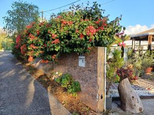un giardino con fiori rossi su un muro di mattoni di Le Bougainvillier a La Plaine des Cafres