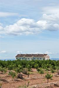 a house in the middle of a field with bushes at Hotel Puerta de la Serrania in Lliria