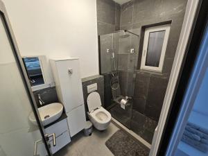 y baño con aseo, lavabo y ducha. en Comfy & Cozy Apartment 3, en Rădăuţi