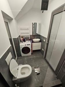 e bagno con servizi igienici, lavandino e doccia. di Comfy & Cozy Apartment 3 a Rădăuţi