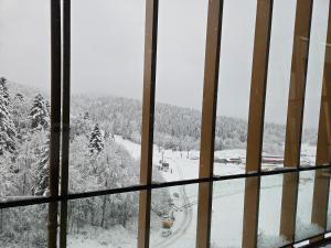别拉什尼察Hotel Nomad的从雪覆盖的滑雪场的窗户欣赏美景