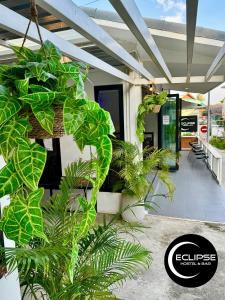une maison avec des plantes vertes sur la terrasse couverte à l'avant dans l'établissement Eclipse Hostel and Bar, à Haad Rin