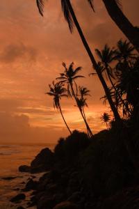 two palm trees on the beach at sunset at Samaro Resort in Matara