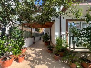 a hallway with potted plants on the side of a building at Nar Twinn Otel in Kas