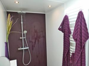 a bathroom with a shower with purple towels at Hausboot Ueckermuende in Ueckermünde