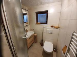 a small bathroom with a toilet and a sink at Apartment Bella Petit in Rinderbügen