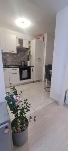 Kuchyň nebo kuchyňský kout v ubytování Apartment ZORA