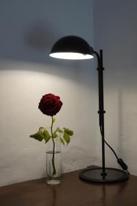 Fotografie z fotogalerie ubytování PANO Apartment v destinaci Triandáros
