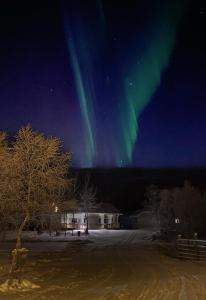 una aurora en el cielo sobre una casa con un árbol en Lapinkylä, en Utsjoki