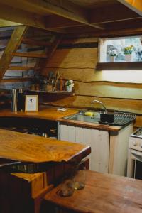 a kitchen with a sink and a counter top at Cabañas Los Cantos del Chucao in Puerto Varas