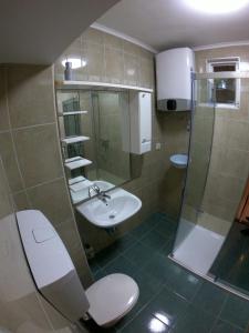 uma casa de banho com um WC, um lavatório e um chuveiro em Apartment Romana - next to the sea em Novalja