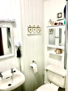 a bathroom with a white toilet and a sink at Mulberry House in Llandudno