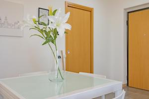 Fotografie z fotogalerie ubytování Milan Forum Camelia Guesthouse v destinaci Assago