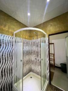 ネゴンボにあるSylvester Villa Hostel Negomboのシャワー(ガラス張りのシャワー付)