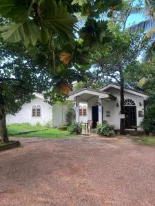 a white house with a tree in front of it at Sylvester Villa Hostel Negombo in Negombo