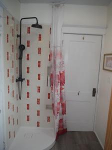 a bathroom with a shower and a white door at Gîte Richmond Inn in Richmond