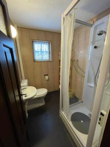 a bathroom with a shower and a toilet and a sink at Rigi-Scheidegg Ferienwohnungen West XL in Vitznau