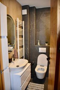 La salle de bains est pourvue de toilettes blanches et d'un lavabo. dans l'établissement NA STAZI-Luxury Mountain- on the ski slope-Free parking,Tuzlaks apartment, à Bjelašnica