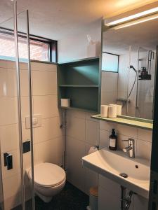 a bathroom with a toilet and a sink and a mirror at Kyitzer Budenhaus Nr. 99 in Kyritz