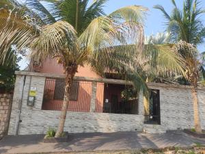 um edifício com duas palmeiras em frente em Casa aconchegante em alter em Alter do Chão