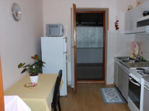 Kuchyň nebo kuchyňský kout v ubytování Apartment Maria