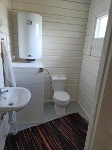 a small bathroom with a toilet and a sink at Cosy Holiday Home with sauna for family vacation 