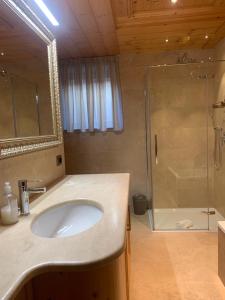 a bathroom with a sink and a shower at Casa Mariella - Apartment with garden in Tesero