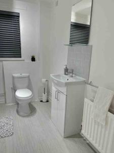 uma casa de banho branca com um WC e um lavatório em Belfast Chic: Elegant 2BR Sleeps 5, Prime Location em Belfast