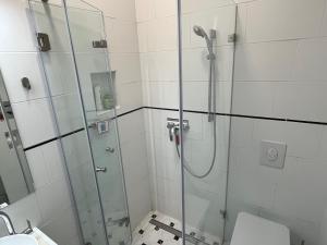 a bathroom with a glass shower with a toilet at Studio flat in the center of Budapest in Budapest