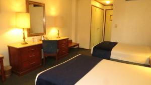 Postel nebo postele na pokoji v ubytování Hotel Bristol
