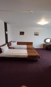 特爾馬丘的住宿－MOTEL POPAS TALMACIU，一间卧室,配有两张床
