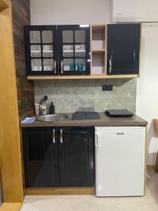 Kuhinja ili čajna kuhinja u objektu Alexandar studio apartman