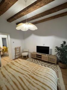 TV a/nebo společenská místnost v ubytování PASCAL'HOME
