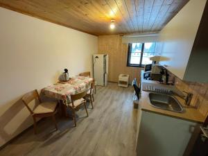 a kitchen with a table and a sink in a room at Ferienwohnung Rigi-Scheidegg Ost in Goldau