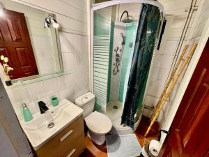 a bathroom with a toilet and a sink and a shower at Bungalow Gaspardo , 2 chambres climatisées, à 2 mins à pied de la plage , wifi , jardin clos, parking ,sans vis-à-vis in Le Carbet