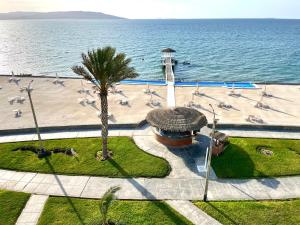 an overhead view of a beach with a pool and a palm tree at Paracas Duplex 200 Metros - Sotavento 501 T 3 in Paracas