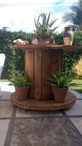 une table en bois avec deux plantes en pot dans l'établissement Chalés do Otto e Karine, à Canoa Quebrada