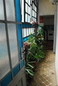 a room with a door with plants in it at Lunfardo Boquense in Buenos Aires