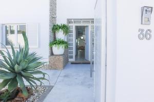 een toegang tot een huis met potplanten bij Villa Stefy by Bedzy in Galé +43 foto's