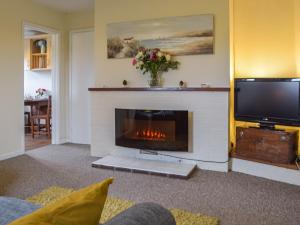 a living room with a fireplace and a tv at Cartref Bach in Llanwnen
