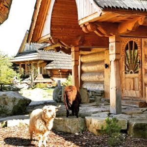 two animals standing in front of a building at GORSKA OSADA Lovely Chalets Zakopane in Poronin