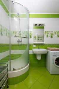 a green bathroom with a sink and a washing machine at Центр. Вул. Родини Барвінських in Ternopilʼ