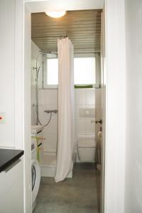 La salle de bains est pourvue d'un rideau de douche et de toilettes. dans l'établissement Landhaus Refugium, à Weissach
