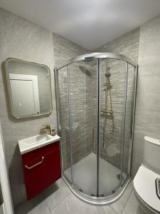 a bathroom with a shower with a sink and a toilet at Mary Mullen's Rooms Eyre Square. in Galway