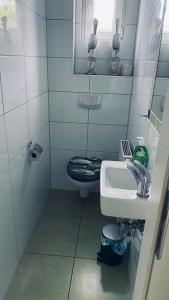 een kleine badkamer met een wastafel en een toilet bij Haus Am Strand in Juliusruh