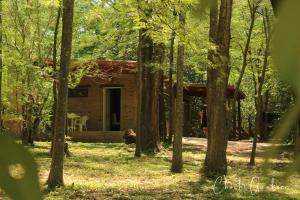 a log cabin in the middle of a forest at Complejo Tiú Mayú in La Granja