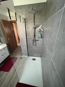 La salle de bains est pourvue d'une douche avec une porte en verre. dans l'établissement Townhouse - Strasbourg Robertsau, à Strasbourg