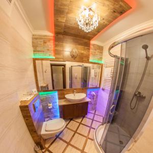 W łazience znajduje się toaleta, umywalka i prysznic. w obiekcie Hotel Fryderyk w mieście Rzeszów